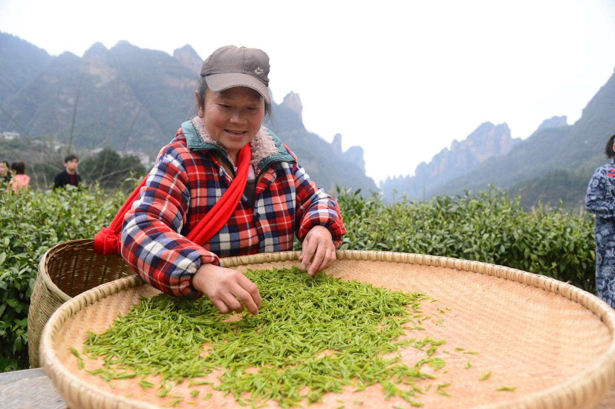 Breeze & Alley Inn--tianmenshan Cableway-english Reception-tourism Planing Homestay *