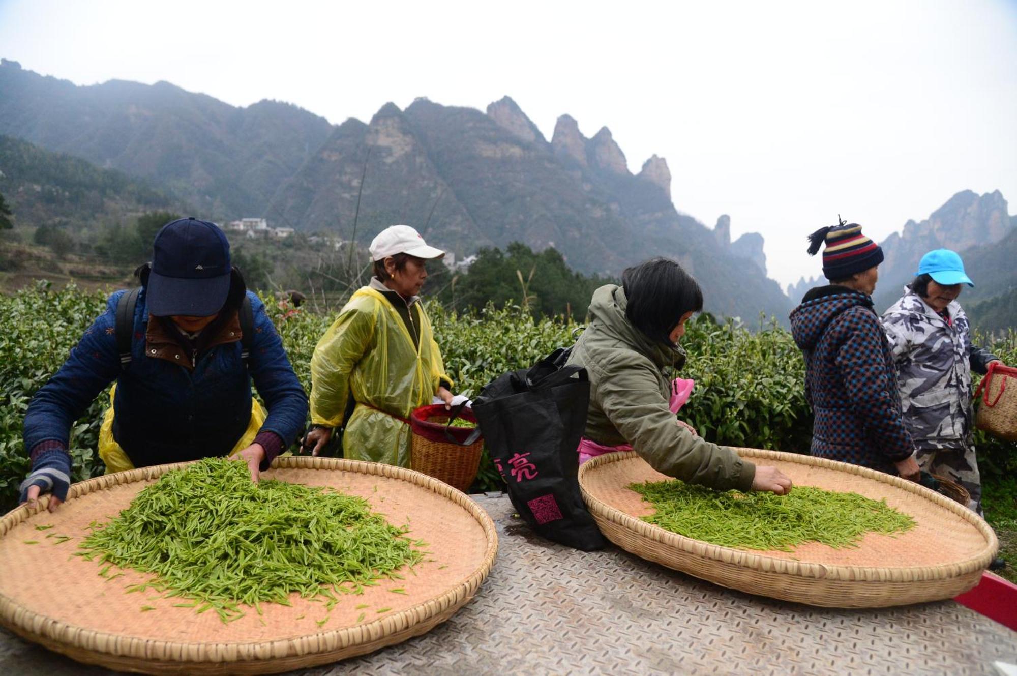 Homestay Breeze & Alley Inn--tianmenshan Cableway-english Reception-tourism Planing Zhangjiajie